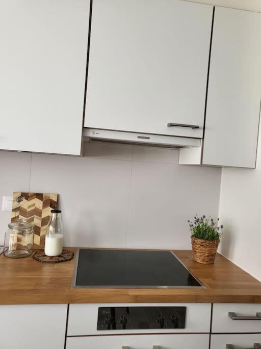 Al Ronchetto Apartmán *